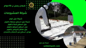 شركة عزل فوم