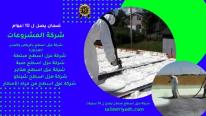 شركة عزل اسطح