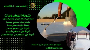 شركة عزل اسطح